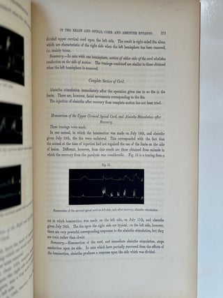 A Contribution to the Study of Descending Degenerations in the Brain and Spinal Cord, and of the... (6/9)