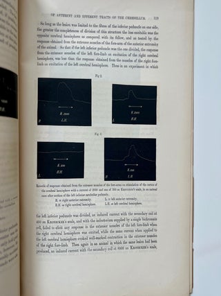 Two Offprints from the Philosophical Transactions of the Royal Society of London Regarding the... (13/16)