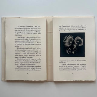 Aphorismes, menus & variétés (13/22)